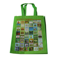 亳州LB11覆膜无纺布广告袋