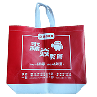 亳州LB37培训班广告袋